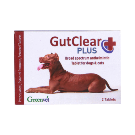 GutClear Plus - 20 Tablets